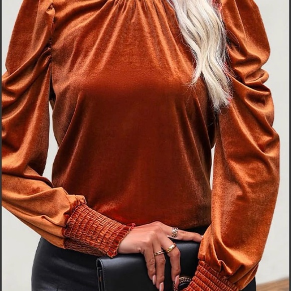 ninexis Tops - Chic Velvet Rust Women's Blouse